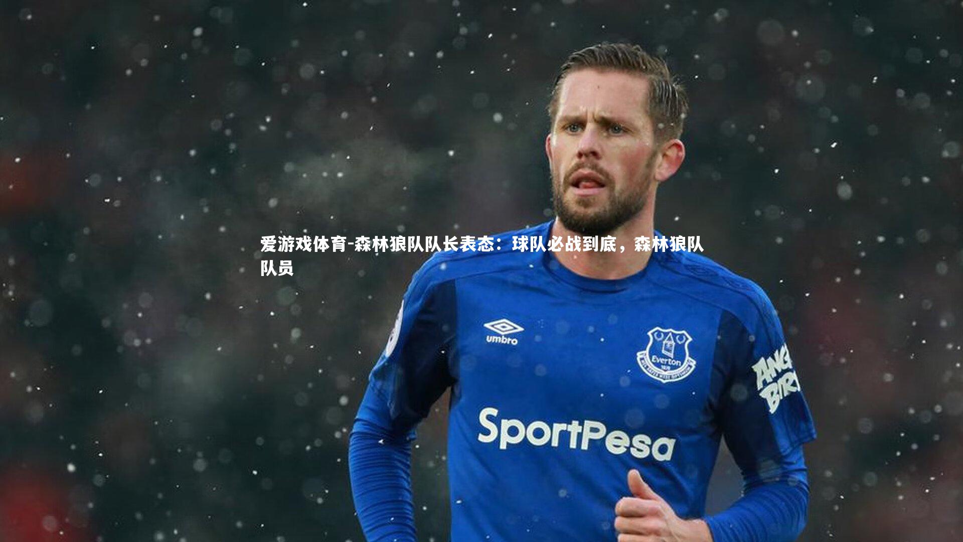 爱游戏体育-森林狼队队长表态：球队必战到底，森林狼队队员