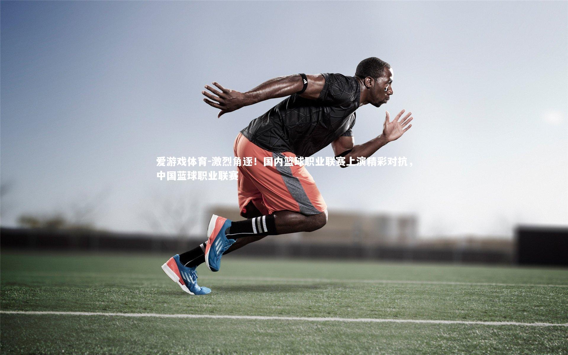 激烈角逐！国内篮球职业联赛上演精彩对抗，中国蓝球职业联赛